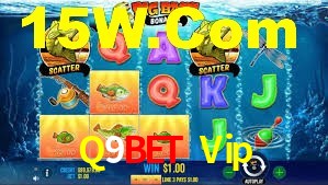 Q9Bet Vip