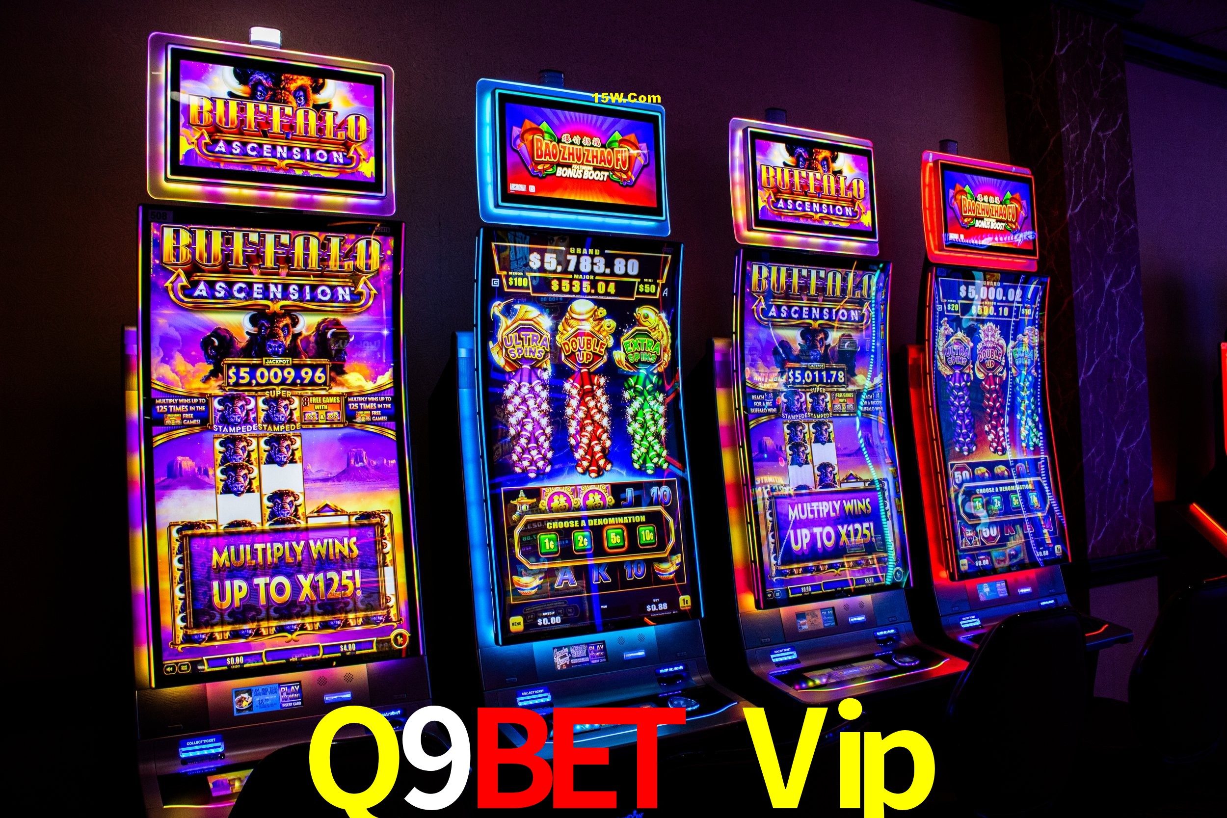 Bonus Features Q9Bet Vip