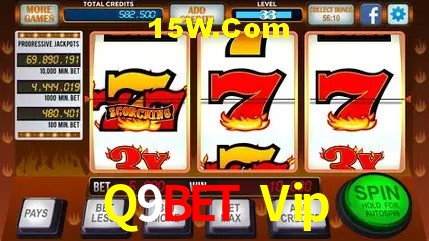 Sistemas de Segurança Q9Bet Vip